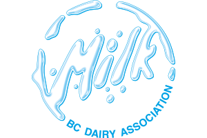 Dairy Dairy