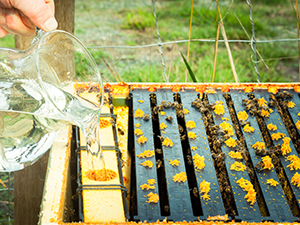 BC Honey Producers' Semi-Annual AGM 2018 BC Honey Producers' Semi-Annual AGM 2018
