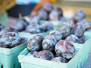 Farmers Markets Conference 2018 2 Farmers Markets Conference 2018 2