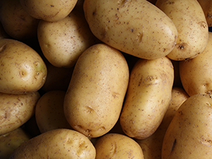 Potato Veg AGM Potato Veg AGM