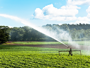 Webinar - produce irrigation Webinar - produce irrigation