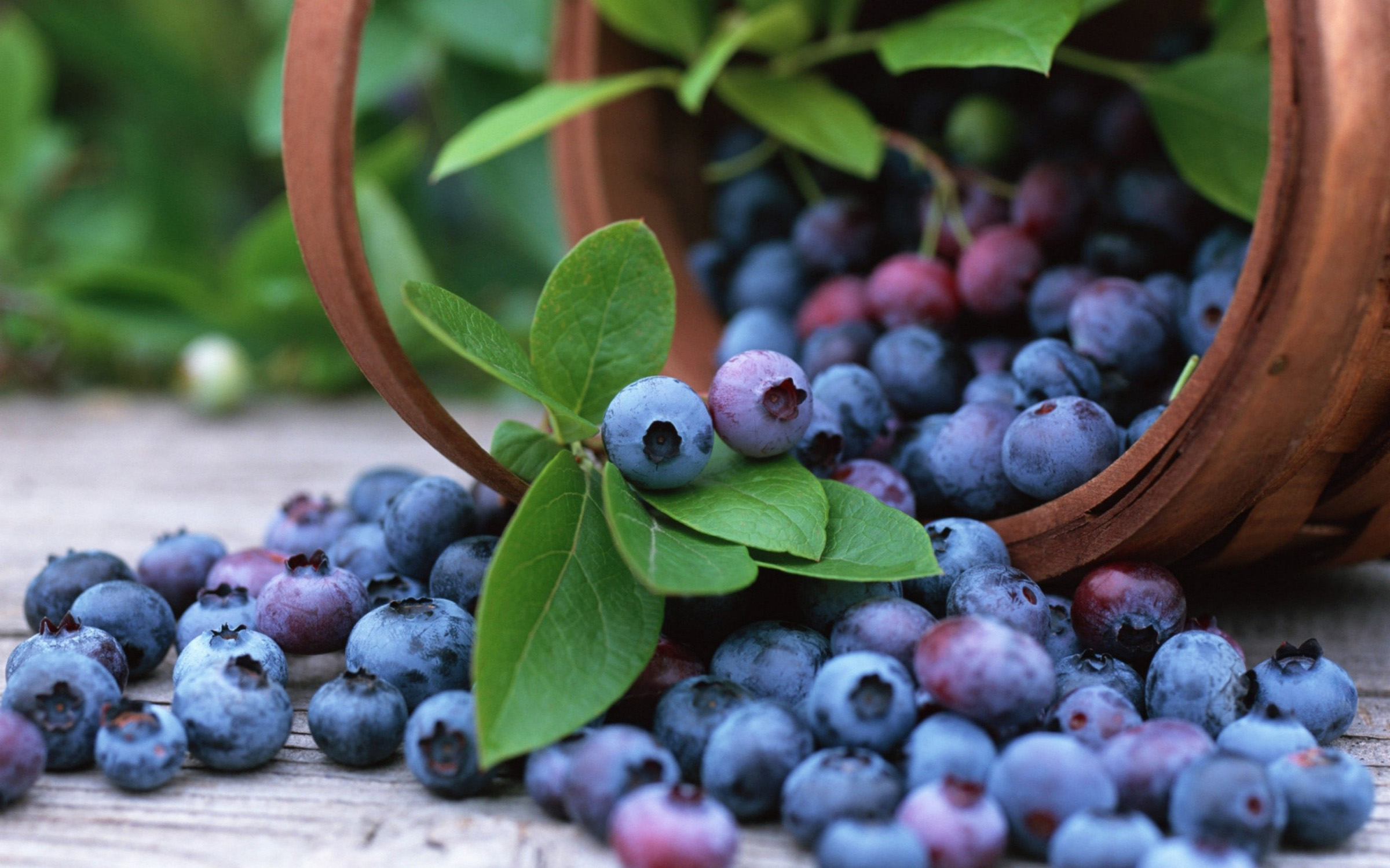 valleyselectfoods-header-1 valleyselectfoods-header-1