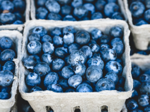 BC Blueberry Council – AGM 2020